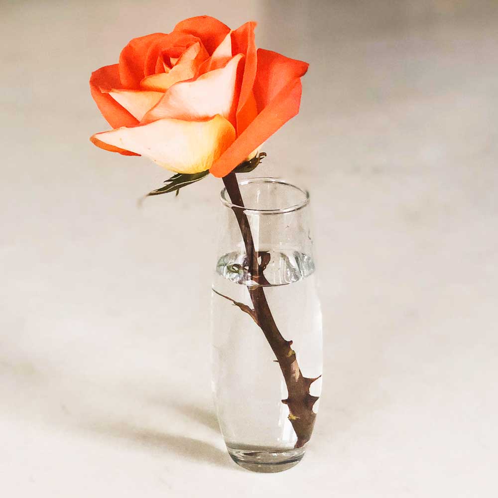 Featured image for “Clear Bud Vase”
